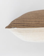 Load image into Gallery viewer, Devin Silk Stripe Pillow Cover