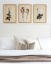 Load image into Gallery viewer, Margaret Stripe Pillow Cover