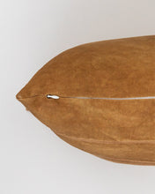 Load image into Gallery viewer, Abner Pillow
