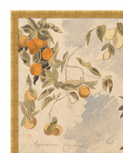 Load image into Gallery viewer, Lemons &amp; Oranges
