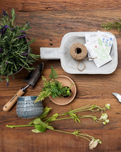 Load image into Gallery viewer, Paulownia Wood Tray
